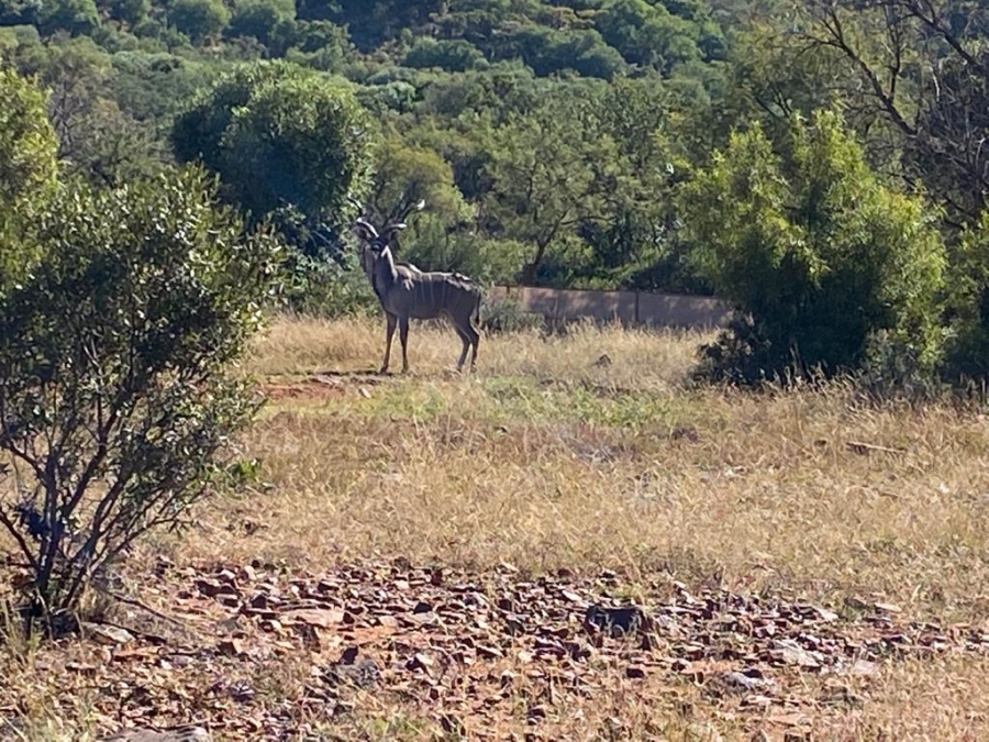 Commercial Property for Sale in Swartruggens North West